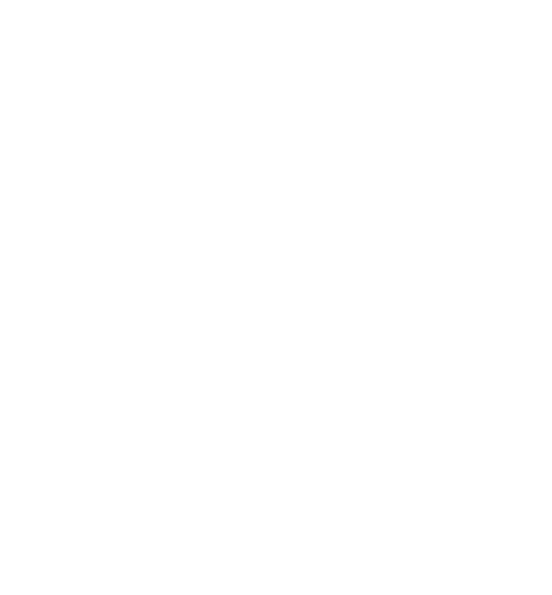 Logo vespins blanc